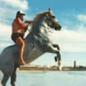 Meet your Posher, Neal